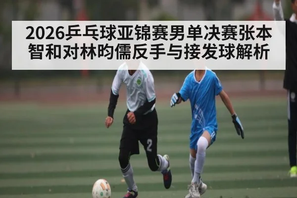 2026乒乓球亚锦赛男单决赛张本智和对林昀儒反手与接发球解析